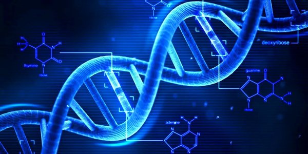 Day-14: Longest Common Subsequence(LCS)